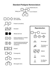 Pedigree Nomenclature: Image Details - NCI Visuals Online