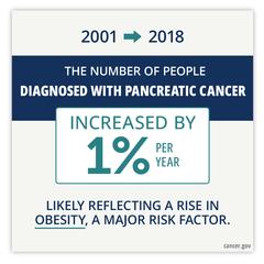 Increase in Pancreatic Cancer Cases (Factoid): Image Details - NCI ...