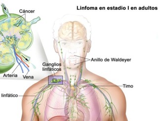 Sample image for Español