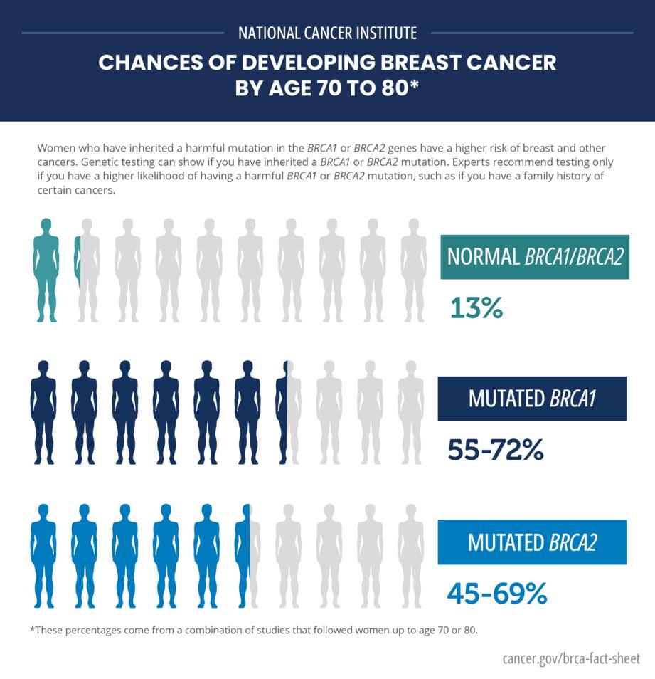 Specific inherited mutations in the BRCA1 and BRCA2 genes increase the risk of breast and ovarian cancers.