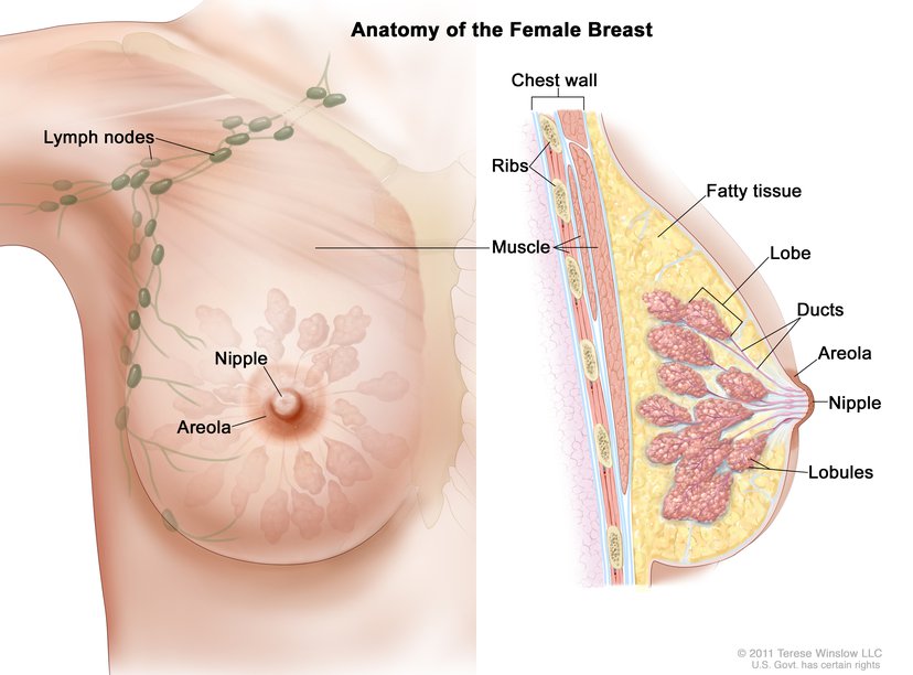 Common types of Breast Cancer presentations - Emabal Hospitals Limited